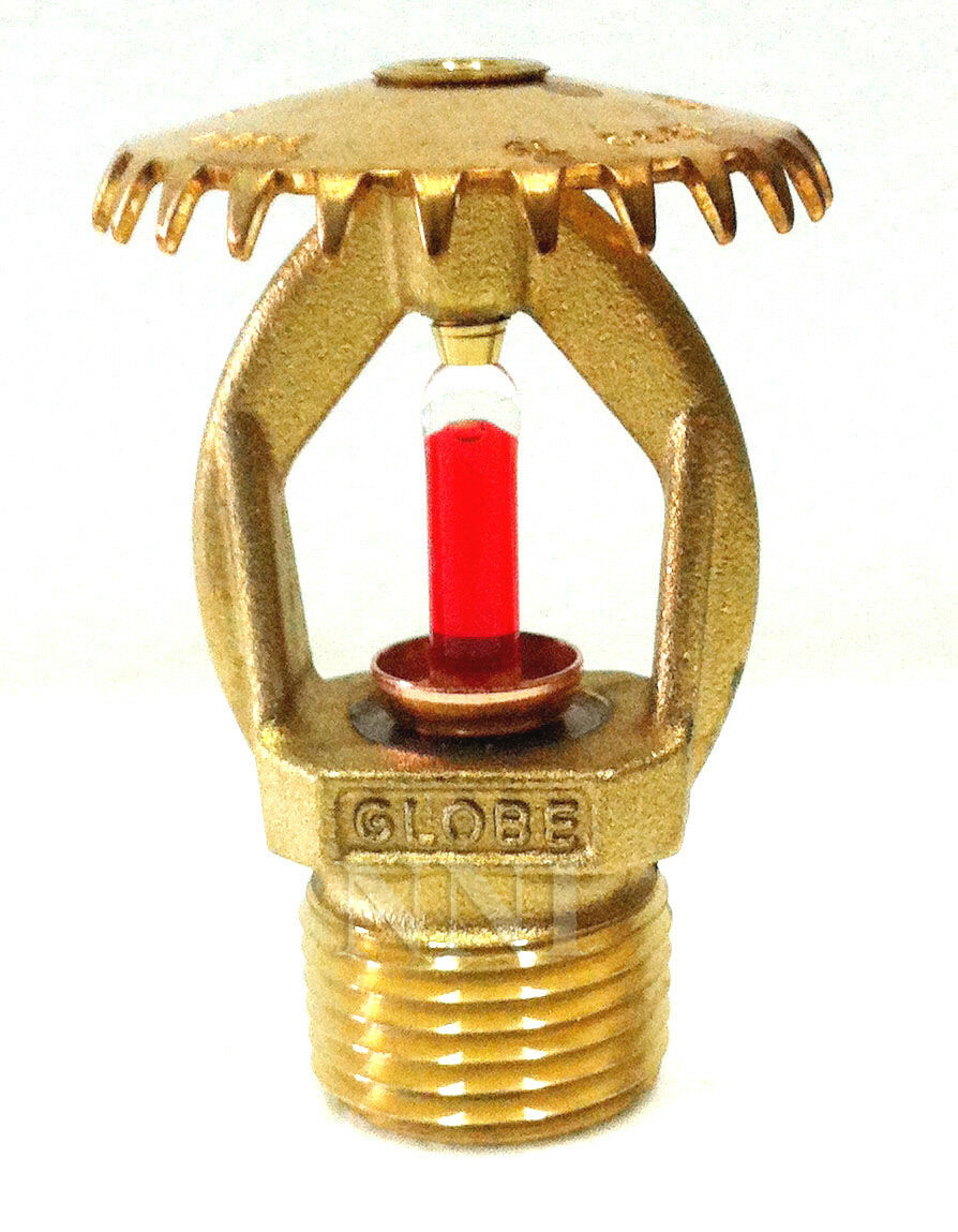 155*f Brass Upright  Fire Sprinkler Head 1/2" Std. Response K=5.6 Globe Gl5661